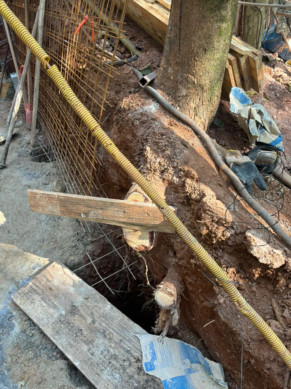 Cantiere: armatura del muro di contenimento vicino alle radici dell’albero